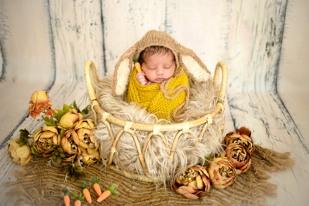 1 – Newborn Baby Photoshoot – Cane Basket Prop
