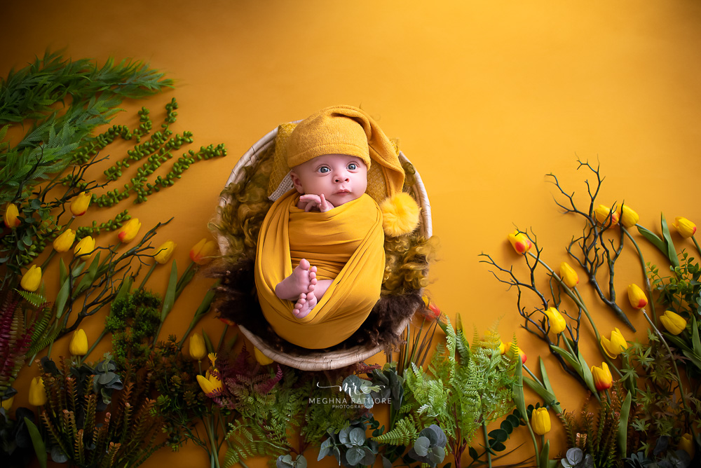 Newborn Album – 45 Days Newborn Baby Photoshoot Creative Setups Props By Meghna Rathore Delhi