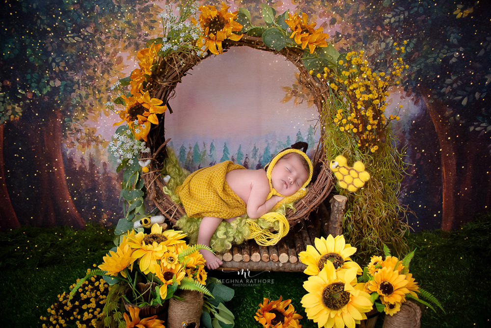 meghna rathore photography newborn baby photoshoot prop ideas