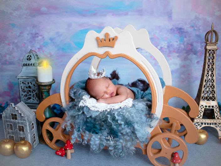Newborn Album – 1 Month Old Newborn Baby Girl Photoshoot Flower Setups Themes By Meghna Rathore Gurgaon