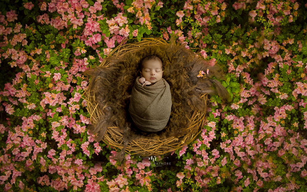 32 days newborn baby boy photoshoot album flower setup, props by meghna rathore