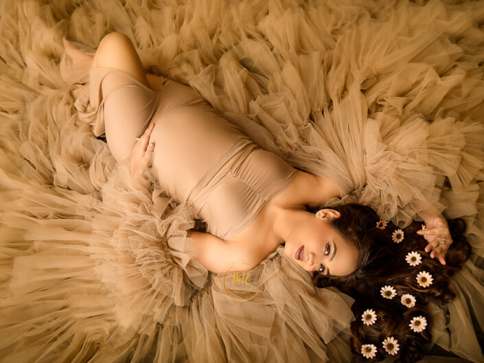 Maternity Album - Gorgeous Mommy to Be Maternity Photoshoot In Baby Pink, Brown and Maroon Premium Gowns With Many Artistic Images.
